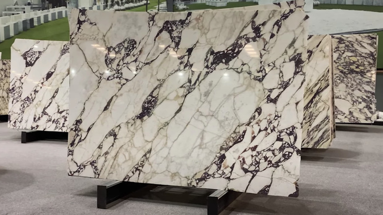 Calacatta viola marble slabs