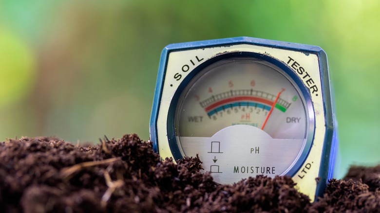 soil pH meter