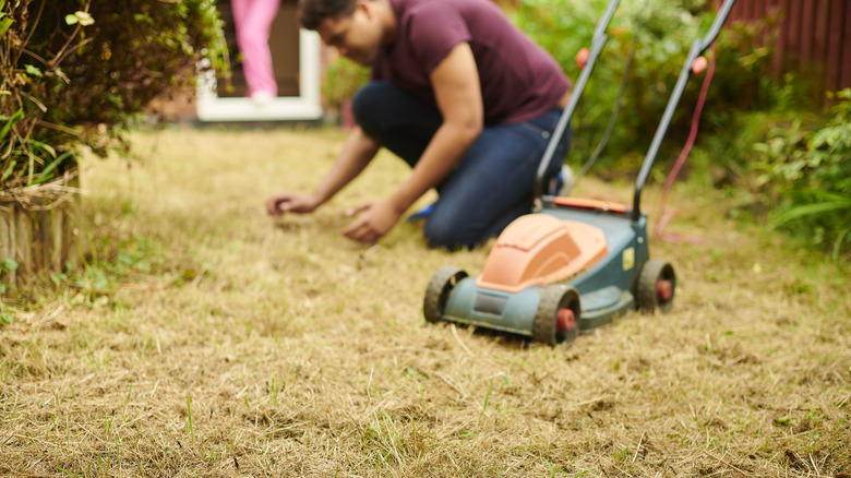 man on brown lawn