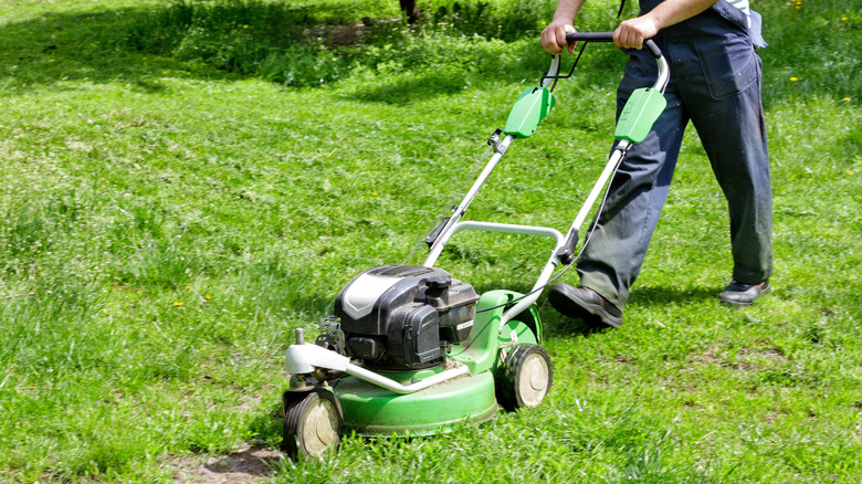 person using small green lawnmower