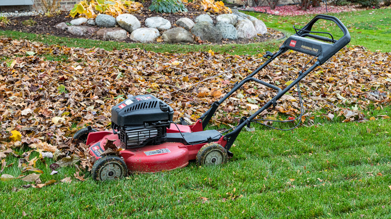 red lawnmower beside dead leaves