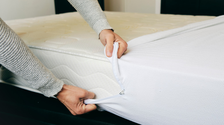 Person covering mattress with a zippered protector