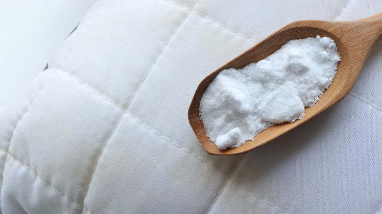 Baking soda in wooden scooper