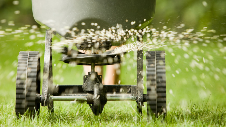 Fertilizer spraying over lawn