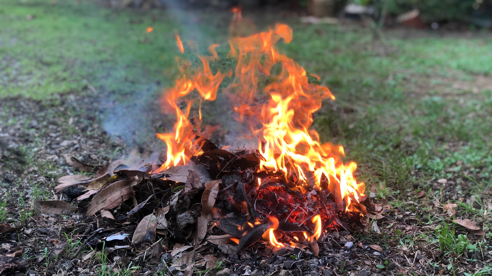 Why You Shouldn’t Burn The Leaves You Raked From Your Yard