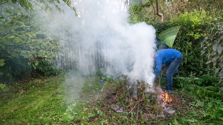 Person burning a leaf pile