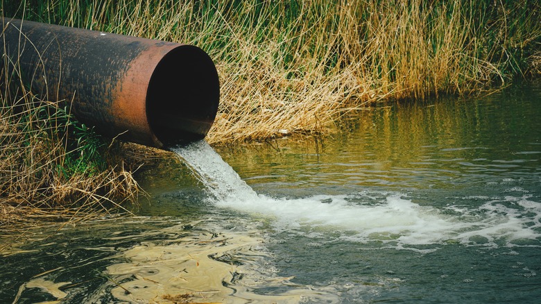 sewer draining water into river