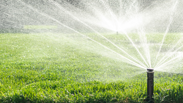 Sprinkler system sprays grass