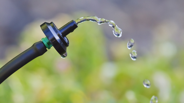 Drip irrigation device