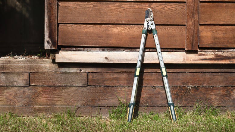 loppers resting on building