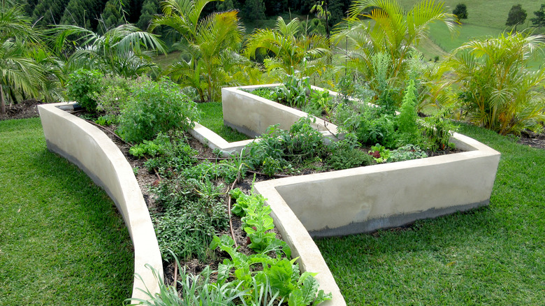 rendered garden bed