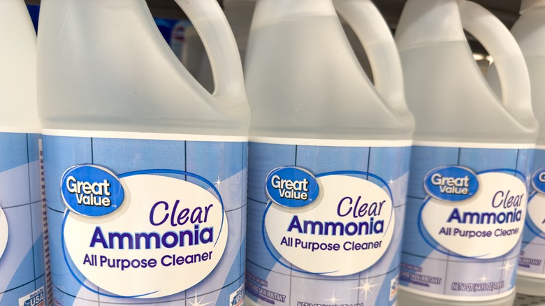 bottles of ammonia on store shelf