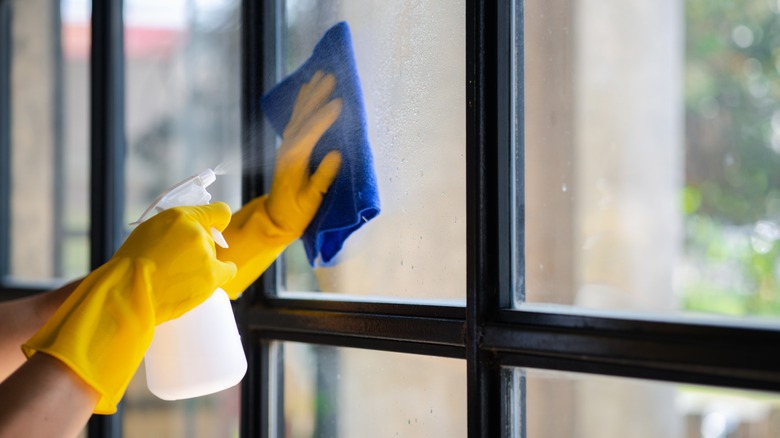 person's hands cleaning glass