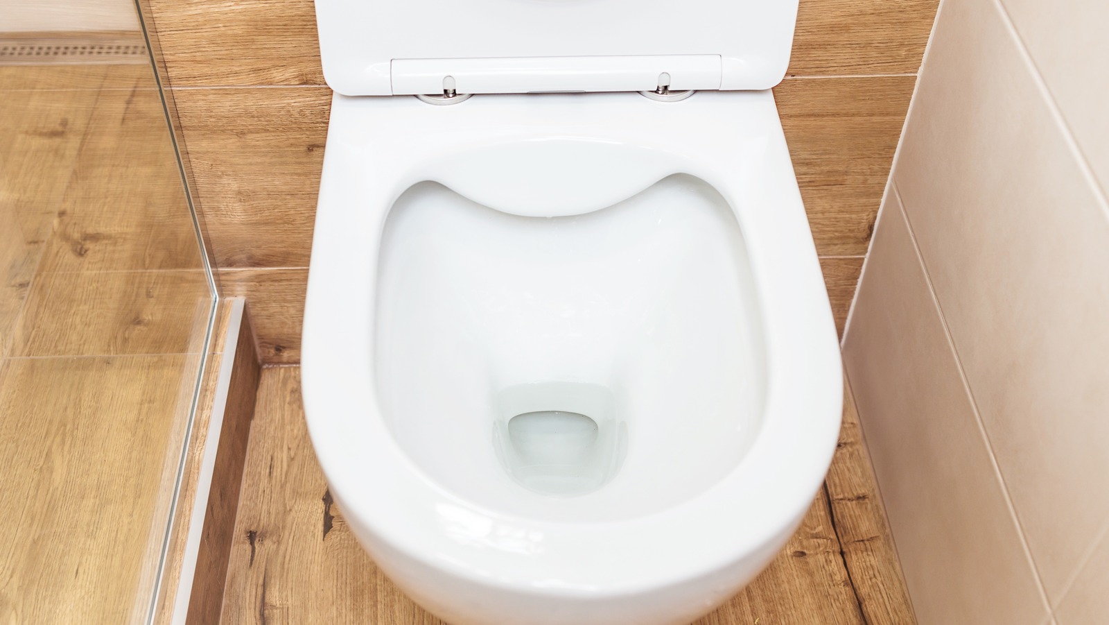 https://www.housedigest.com/img/gallery/why-youll-want-to-clean-your-toilet-with-a-dryer-sheet/l-intro-1688661064.jpg