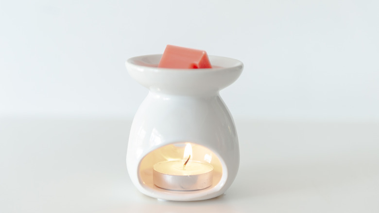 Modern wax melter on a tabletop