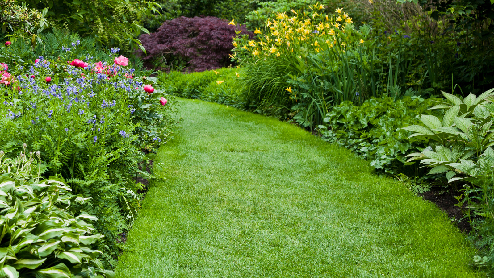 Why You'll Want To Sprinkle Cinnamon On Your Grass