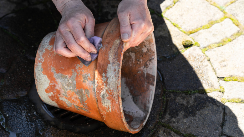 hands wiping terra cotta pot