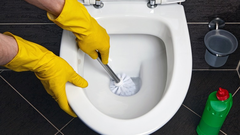 Person scrubbing toilet with toilet brush