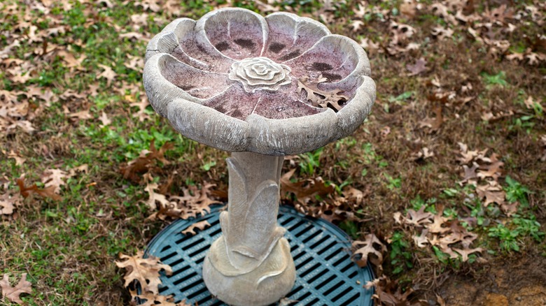 empty concrete birdbath in yard