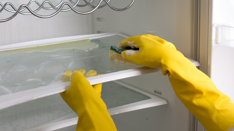 Hands cleaning fridge shelf