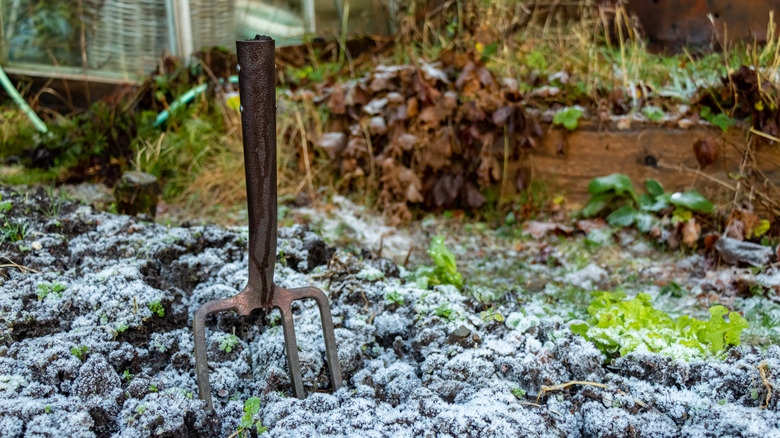 Garden fork stuck in snowy ground