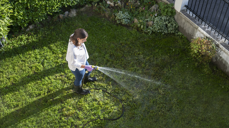 A woman watering her grass with a garden hose