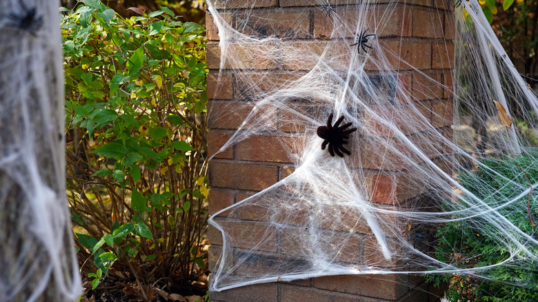 Fake spider web décor