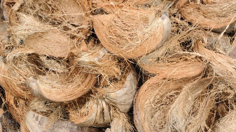 closeup of coconut coir