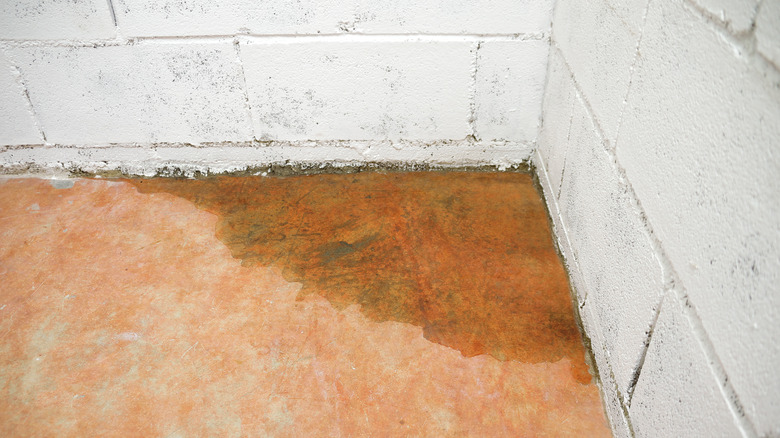 water seeping beneath basement wall