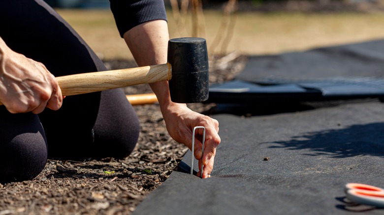 Mallet hitting landscape staple