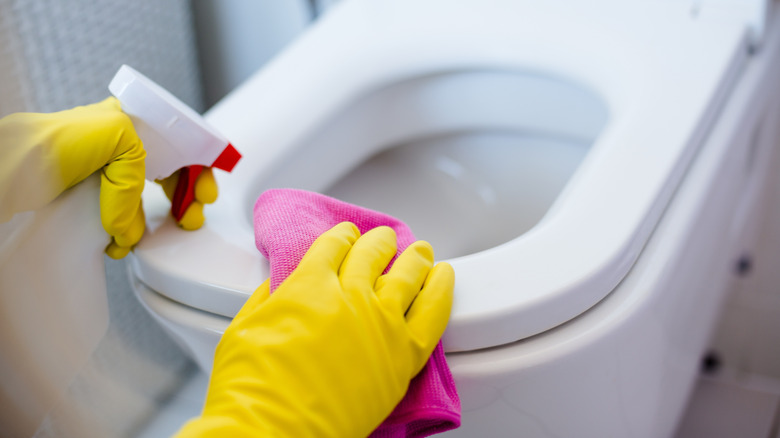 Gloved hands spraying and wiping toilet