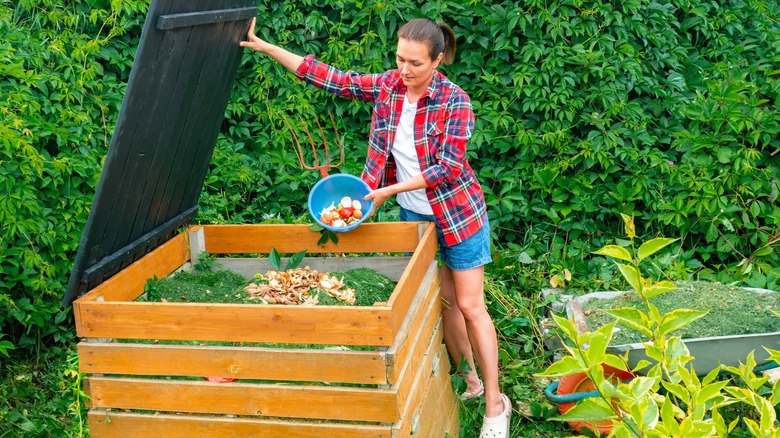 Compost bin for garden