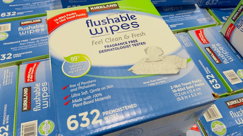 Kirkland Signature flushable wipe