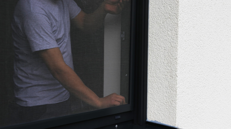 Person replacing the mesh screen in an open window