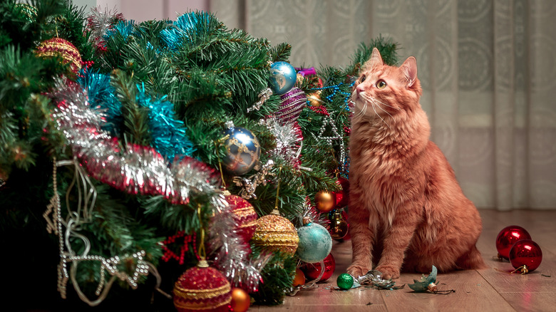 Cat near ruined Christmas tree