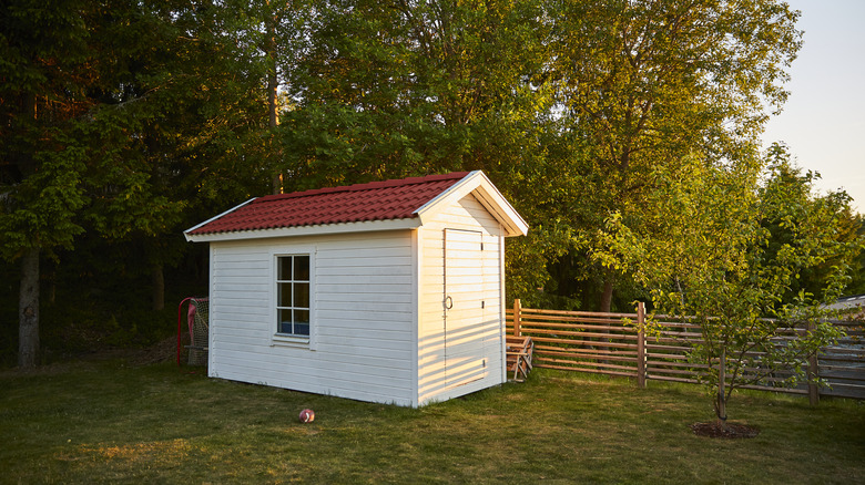 backyard shed with window