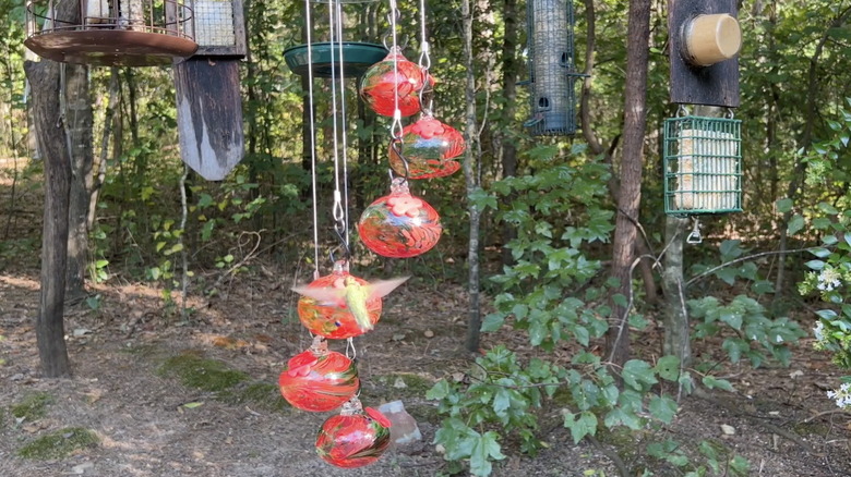 A hummingbird approaches a red wind chime hummingbird feeder