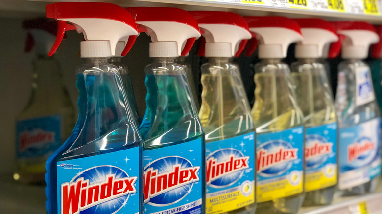 windex display store