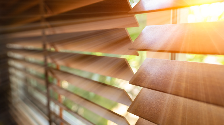 sunlight coming through blinds