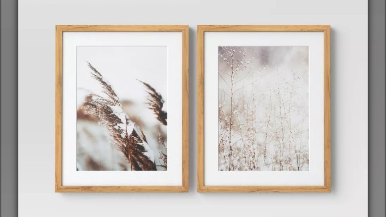 closeups of snow on fields