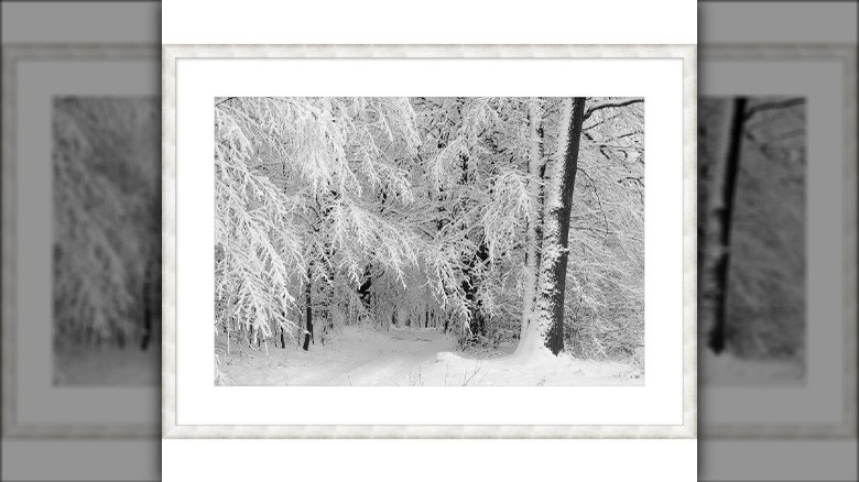 snowy forest framed art