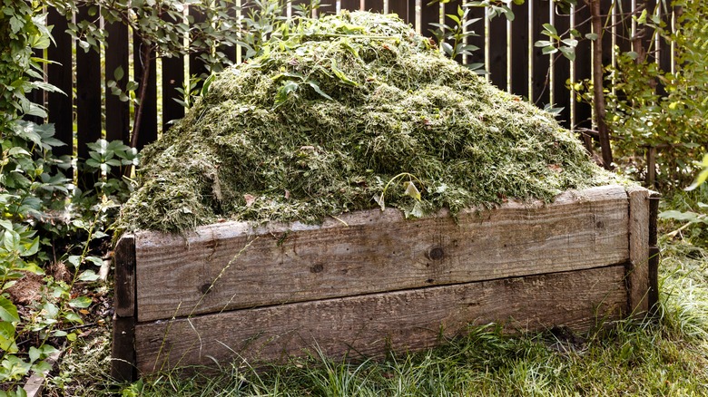 Composted pile of grass clippings