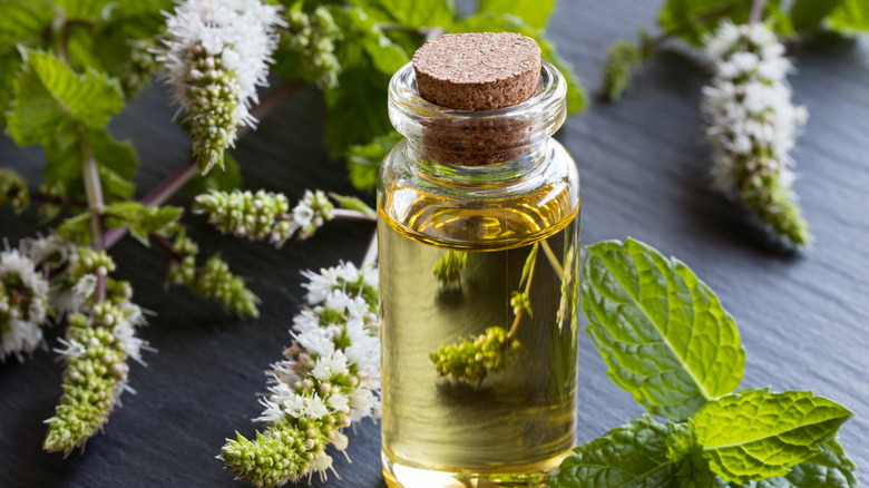 peppermint oil on table