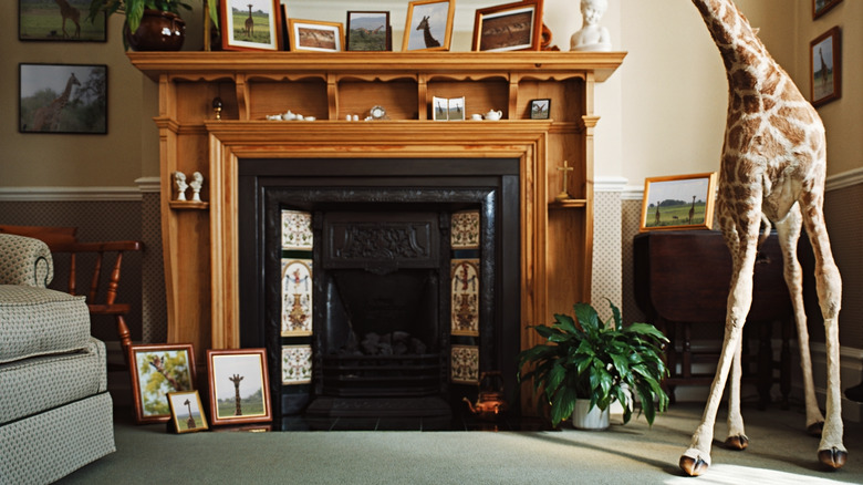 Picture frames around fireplace