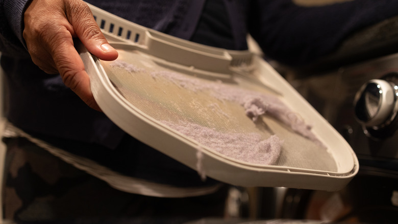 Person holding a dryer screen filled with lint