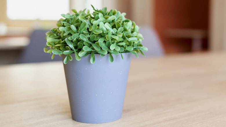 A faux plant sits on a table.