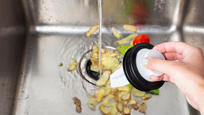  food scraps in garbage disposal