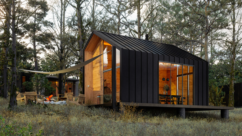 Prefabricated tiny house in woods