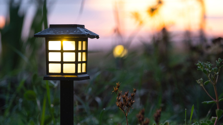 Illuminated solar lantern in verdant yard at dusk