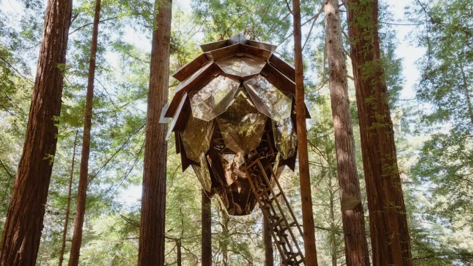 You Can Stay In A California Airbnb That s A Treehouse Shaped Like